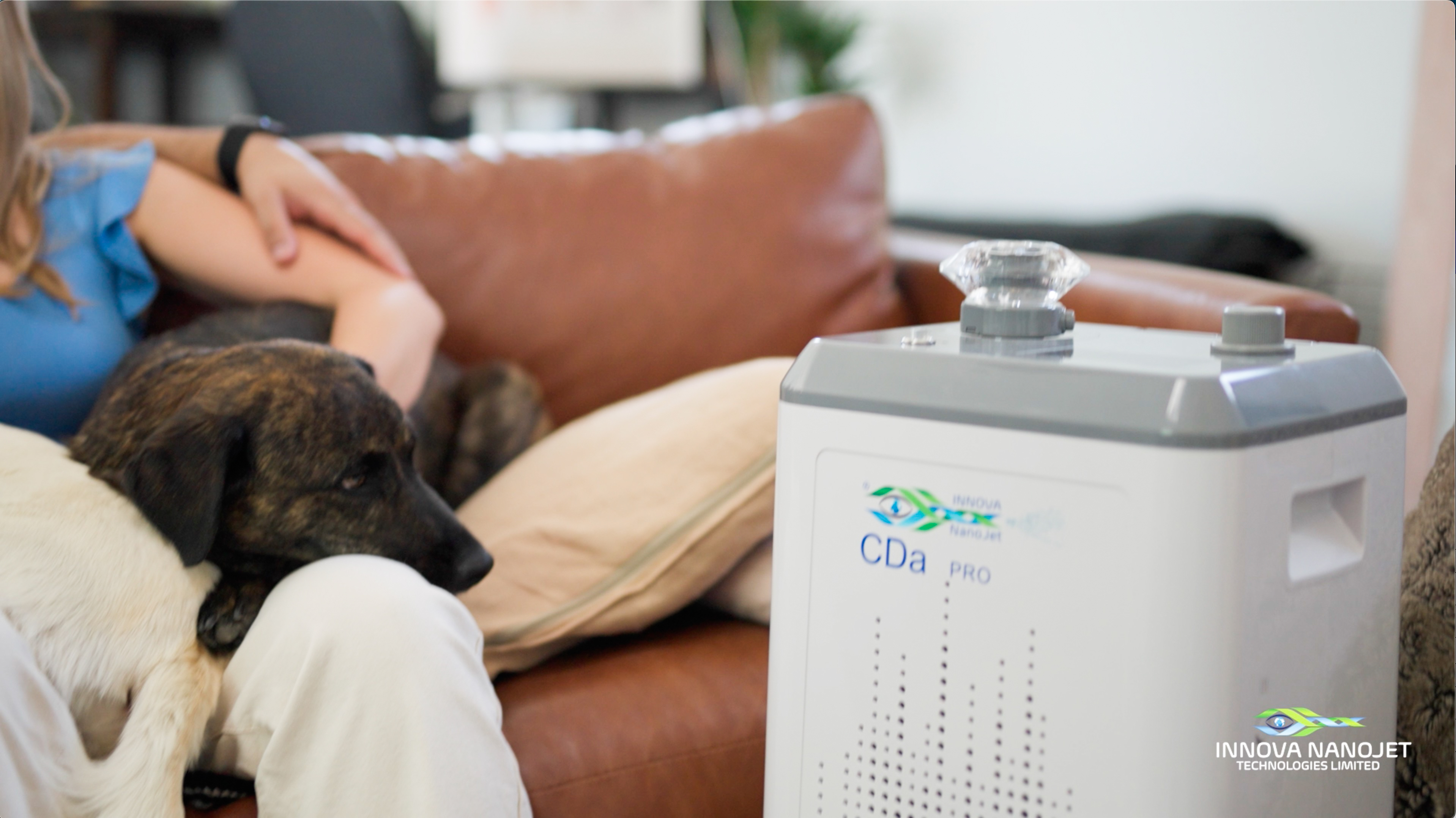 AirSancta CDa Pro v domácnosti se psem — bezpečná pro domácí zvířata